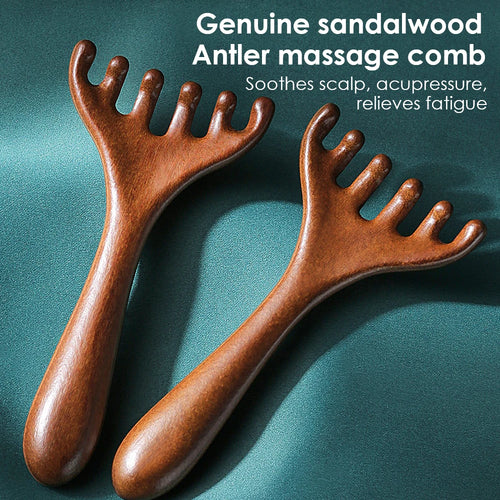 Sandalwood Scalp Massage Comb